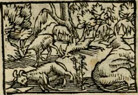 An illustration from Horou Apollonos Neiloou Hieroglyphika eklekta = Hori Apollinis Selecta hieroglyphica : imagines vero cum priuilegio (1599)