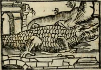 An illustration from Horou Apollonos Neiloou Hieroglyphika eklekta = Hori Apollinis Selecta hieroglyphica : imagines vero cum priuilegio (1599)