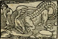 An illustration from Horou Apollonos Neiloou Hieroglyphika eklekta = Hori Apollinis Selecta hieroglyphica : imagines vero cum priuilegio (1599)
