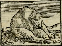 An illustration from Horou Apollonos Neiloou Hieroglyphika eklekta = Hori Apollinis Selecta hieroglyphica : imagines vero cum priuilegio (1599)