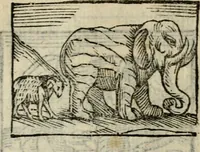 An illustration from Horou Apollonos Neiloou Hieroglyphika eklekta = Hori Apollinis Selecta hieroglyphica : imagines vero cum priuilegio (1599)
