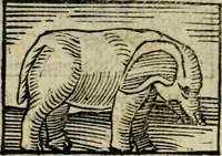 An illustration from Horou Apollonos Neiloou Hieroglyphika eklekta = Hori Apollinis Selecta hieroglyphica : imagines vero cum priuilegio (1599)