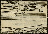 An illustration from Horou Apollonos Neiloou Hieroglyphika eklekta = Hori Apollinis Selecta hieroglyphica : imagines vero cum priuilegio (1599)
