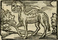 An illustration from Horou Apollonos Neiloou Hieroglyphika eklekta = Hori Apollinis Selecta hieroglyphica : imagines vero cum priuilegio (1599)