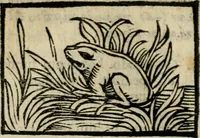 An illustration from Horou Apollonos Neiloou Hieroglyphika eklekta = Hori Apollinis Selecta hieroglyphica : imagines vero cum priuilegio (1599)