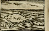An illustration from Horou Apollonos Neiloou Hieroglyphika eklekta = Hori Apollinis Selecta hieroglyphica : imagines vero cum priuilegio (1599)