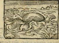 An illustration from Horou Apollonos Neiloou Hieroglyphika eklekta = Hori Apollinis Selecta hieroglyphica : imagines vero cum priuilegio (1599)