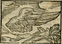 An illustration from Horou Apollonos Neiloou Hieroglyphika eklekta = Hori Apollinis Selecta hieroglyphica : imagines vero cum priuilegio (1599)