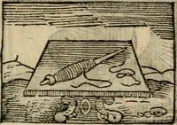 An illustration from Horou Apollonos Neiloou Hieroglyphika eklekta = Hori Apollinis Selecta hieroglyphica : imagines vero cum priuilegio (1599)