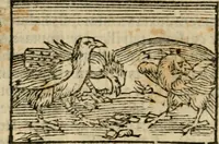 An illustration from Horou Apollonos Neiloou Hieroglyphika eklekta = Hori Apollinis Selecta hieroglyphica : imagines vero cum priuilegio (1599)