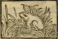 An illustration from Horou Apollonos Neiloou Hieroglyphika eklekta = Hori Apollinis Selecta hieroglyphica : imagines vero cum priuilegio (1599)