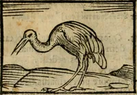 An illustration from Horou Apollonos Neiloou Hieroglyphika eklekta = Hori Apollinis Selecta hieroglyphica : imagines vero cum priuilegio (1599)