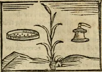 An illustration from Horou Apollonos Neiloou Hieroglyphika eklekta = Hori Apollinis Selecta hieroglyphica : imagines vero cum priuilegio (1599)