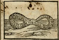 Picture 4 of 177 from Horou Apollonos Neiloou Hieroglyphika eklekta = Hori Apollinis Selecta hieroglyphica : imagines vero cum priuilegio (1599), leaf 8