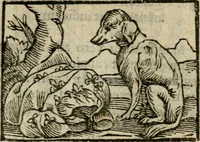 An illustration from Horou Apollonos Neiloou Hieroglyphika eklekta = Hori Apollinis Selecta hieroglyphica : imagines vero cum priuilegio (1599)