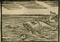 An illustration from Horou Apollonos Neiloou Hieroglyphika eklekta = Hori Apollinis Selecta hieroglyphica : imagines vero cum priuilegio (1599)