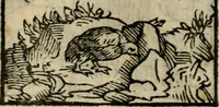 An illustration from Horou Apollonos Neiloou Hieroglyphika eklekta = Hori Apollinis Selecta hieroglyphica : imagines vero cum priuilegio (1599)