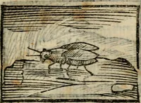 An illustration from Horou Apollonos Neiloou Hieroglyphika eklekta = Hori Apollinis Selecta hieroglyphica : imagines vero cum priuilegio (1599)