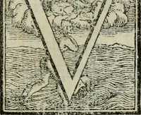 Picture 4 of 14 from Apologia de gli Academici di Banchi di Roma : Contra M. Lodovico Castelvetro da Modena. Informa d'uno Spaccio di Maestro Pasquino. Con alcune operette, del predella, del bvratto, di ser pedocco. In difesa de la seguente Canzone del Commendatore (1558), leaf 14