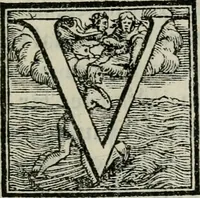 An illustration from Apologia de gli Academici di Banchi di Roma : Contra M. Lodovico Castelvetro da Modena. Informa d'uno Spaccio di Maestro Pasquino. Con alcune operette, del predella, del bvratto, di ser pedocco. In difesa de la seguente Canzone del Commendatore (1558)