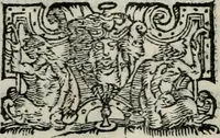 An illustration from Apologia de gli Academici di Banchi di Roma : Contra M. Lodovico Castelvetro da Modena. Informa d'uno Spaccio di Maestro Pasquino. Con alcune operette, del predella, del bvratto, di ser pedocco. In difesa de la seguente Canzone del Commendatore (1558)