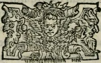 An illustration from Apologia de gli Academici di Banchi di Roma : Contra M. Lodovico Castelvetro da Modena. Informa d'uno Spaccio di Maestro Pasquino. Con alcune operette, del predella, del bvratto, di ser pedocco. In difesa de la seguente Canzone del Commendatore (1558)