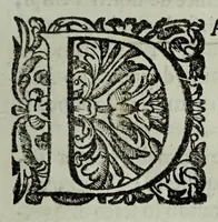 An illustration from Apologia di Francesco Maria Onorati per la passonata fatta sopra il Tevere fvora di Porta del Popolo in difesa della Strada Flaminia : con la direttione del signor Cornelio Meyer, famoso ingegniere olandese (1698)