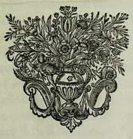 An illustration from Apologia di Francesco Maria Onorati per la passonata fatta sopra il Tevere fvora di Porta del Popolo in difesa della Strada Flaminia : con la direttione del signor Cornelio Meyer, famoso ingegniere olandese (1698)
