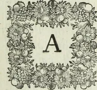 An illustration from Apologia in difesa del Cavaliere conte Sertorio Orsato contra le censure dell' autore del Museo veronese (1752)