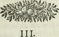 An illustration from Apologia in difesa del Cavaliere conte Sertorio Orsato contra le censure dell' autore del Museo veronese (1752)