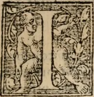 An illustration from Apologia libri de reditibvs ecclesiasticis, a Martino ab Azpilcueta. Super c. ultimo XVI. q. I. sermone primùm Hispano compositi, & ab eodem postea Latinitate donati: aduersus N. in nonnullis ei contradicentem (1575)