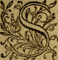 An illustration from Apologia pro ivramento fidelitatis, primùm quidem anonymoz: (1609)