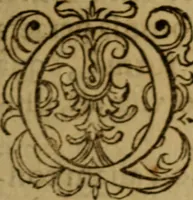 An illustration from Apologia pro ivramento fidelitatis, primùm quidem anonymoz: (1609)