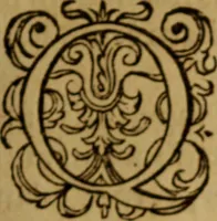 An illustration from Apologia pro ivramento fidelitatis, primùm quidem anonymoz: (1609)