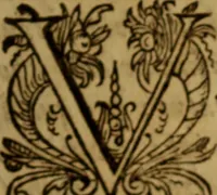 An illustration from Apologia pro ivramento fidelitatis, primùm quidem anonymoz: (1609)