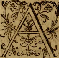 An illustration from Apologia pro ivramento fidelitatis, primùm quidem anonymoz: (1609)