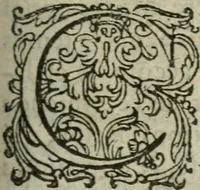 An illustration from Apologie catholique contre les libelles declarations, aduis, et consultations faictes, escrites, & publiees par les liguez perturbateurs de repos du Royaume de France, qui se sont esleuez depuis le decés de feu Monseigneur, frere vnique du Roy (1585)