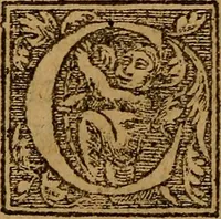 An illustration from Apologie ou defense de l'honorable sentence & tres-juste execution de defuncte Marie Steuard derniere Royne d'Ecosse : Enrichie de plusieurs exemples par comparaisons & diverses histoires d'empereurs, rois & papes ci devant aduenues : Auec les opinions d'hommes entendus en tel cas ... Ensemble aussi la response à certaines obiections ... Aprez la fin du liure sont adioustées les copies des lettres, actes & articles, qui servent à découuir & à bien verifier la trahison de ladite Royne d'Ecosse &c ... (1588)