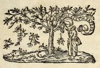 An illustration from Apologie povr les peres iesvites. (1615)