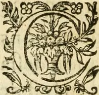 Picture 10 of 16 from Apologie povr tovs les grands personnages qui ont esté faussement soupçonnez de magie (1625), leaf 135
