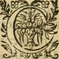 An illustration from Apologie povr tovs les grands personnages qui ont esté faussement soupçonnez de magie (1625)