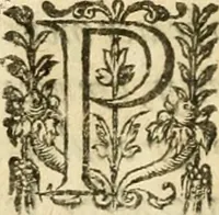 Picture 12 of 16 from Apologie povr tovs les grands personnages qui ont esté faussement soupçonnez de magie (1625), leaf 197