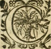 Picture 14 of 16 from Apologie povr tovs les grands personnages qui ont esté faussement soupçonnez de magie (1625), leaf 334