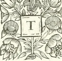 An illustration from Apostolici : or the history of the lives, acts, death and martyrdoms of those who were contemporary with, or immediately succeeded the Apostles : as also the most eminent of the Primitive Fathers for the first three hundred years to which is added, a chronology of the three first ages of the church (1682)