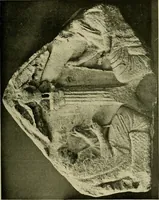 An illustration from Apotheosis and after life; (1916)