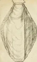 An illustration from Apotheosis vel consecratio Homeri, sive, Lapis antiquissimus in quo poëtarum principis Homeri consecratio sculpta est (1683)