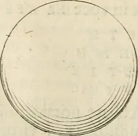 An illustration from Apotheosis vel consecratio Homeri, sive, Lapis antiquissimus in quo poëtarum principis Homeri consecratio sculpta est (1683)