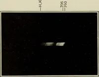 Picture 4 of 6 from Application of dicyanin to the photography of stellar spectra (1919), leaf 21