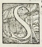 An illustration from Apparati e solennità dell'ingresso in Milano dell'emin.mo e reuer.mo sig.re cardinale, arciuescovo Cesare Monti alli 29. d'aprile dell'anno 1635 (1635)