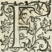 An illustration from Apparato della festività del glorioso S. Giouan Battista : fatto dal fedelissimo popolo napolitano à 23. di giugno 1624, all' Eccellenza del signor d. Antonio Alvarez di Toledo, duca d'Alba, vicere nel regno (1624)